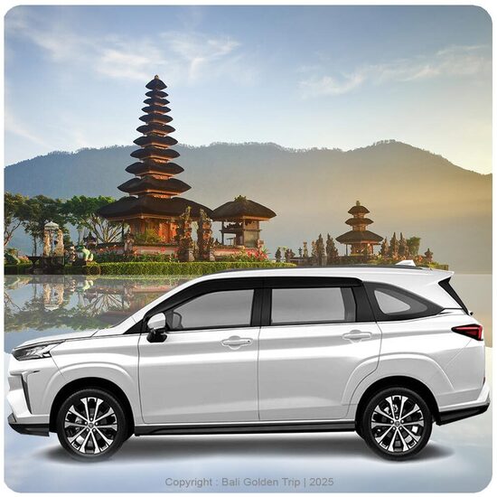Car Rentals with Driver (10)