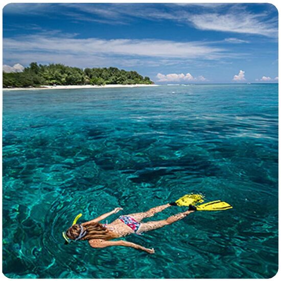 Snorkeling (2)