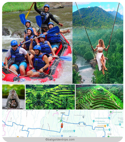 Ubud Rafting with Monkey Forest & Tegal Lalang Tour