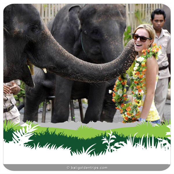 Elephant Back Safari, at Bali Safari and Marine Park Gianyar Bali