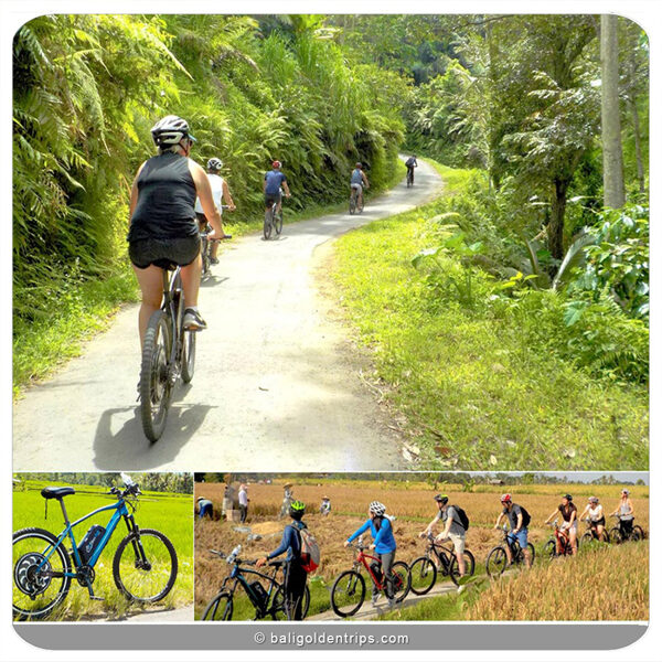 E-Bike Bali - Ubud Cycling tours