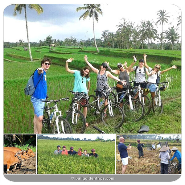 E-Bike Bali - Ubud - Tegallalang Trip
