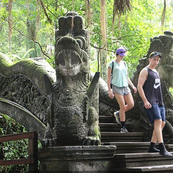 Ubud Sancuary Monkey Forest