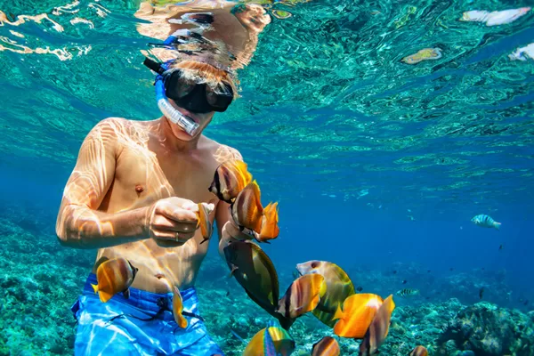 Snorkeling $25 PP