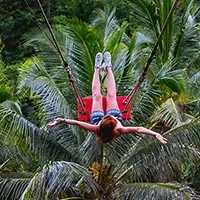 Swing Adventure